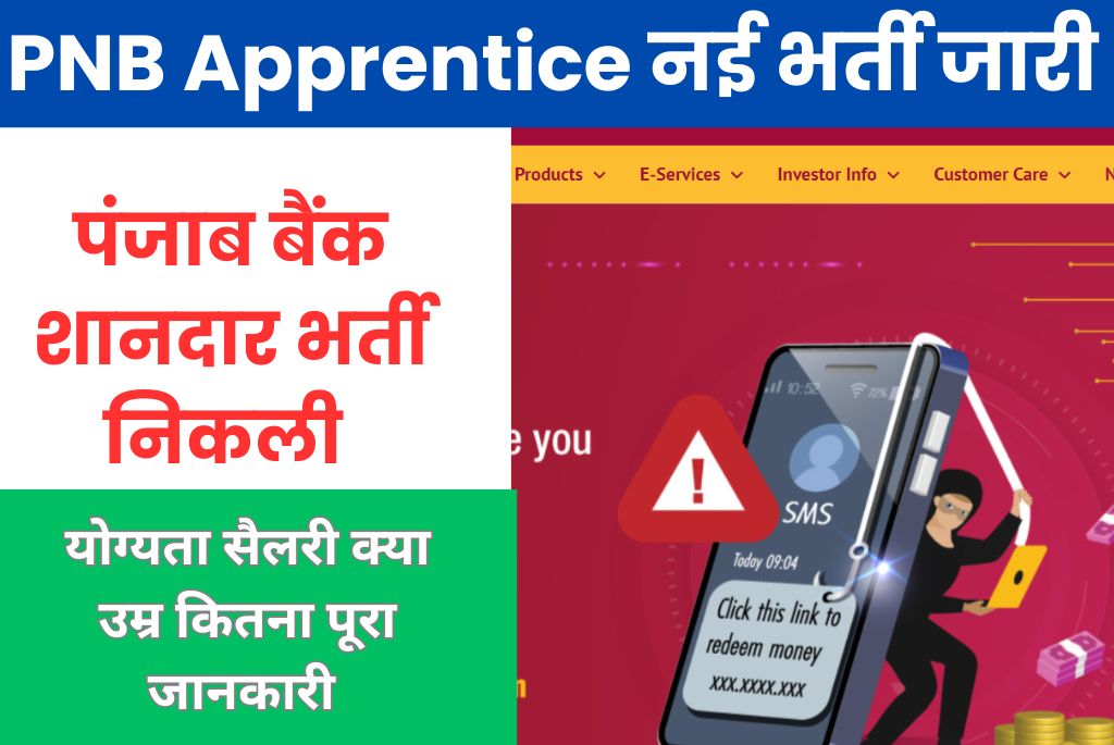 PNB Apprentice Vacancy 2024 