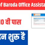 Bank of Baroda Peon Online Form 2025 Kaise Bhare